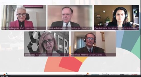 sustainability reporting panel