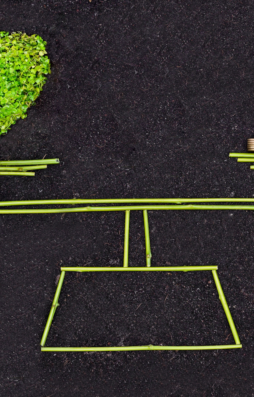 AML; Anti-Mondey Laundering