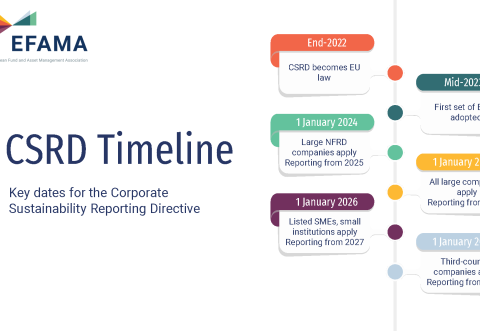 Infographic of the CSDR timeline