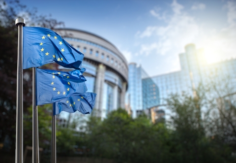 European Parliament building in Brussels with EU flags flying against a sunny background